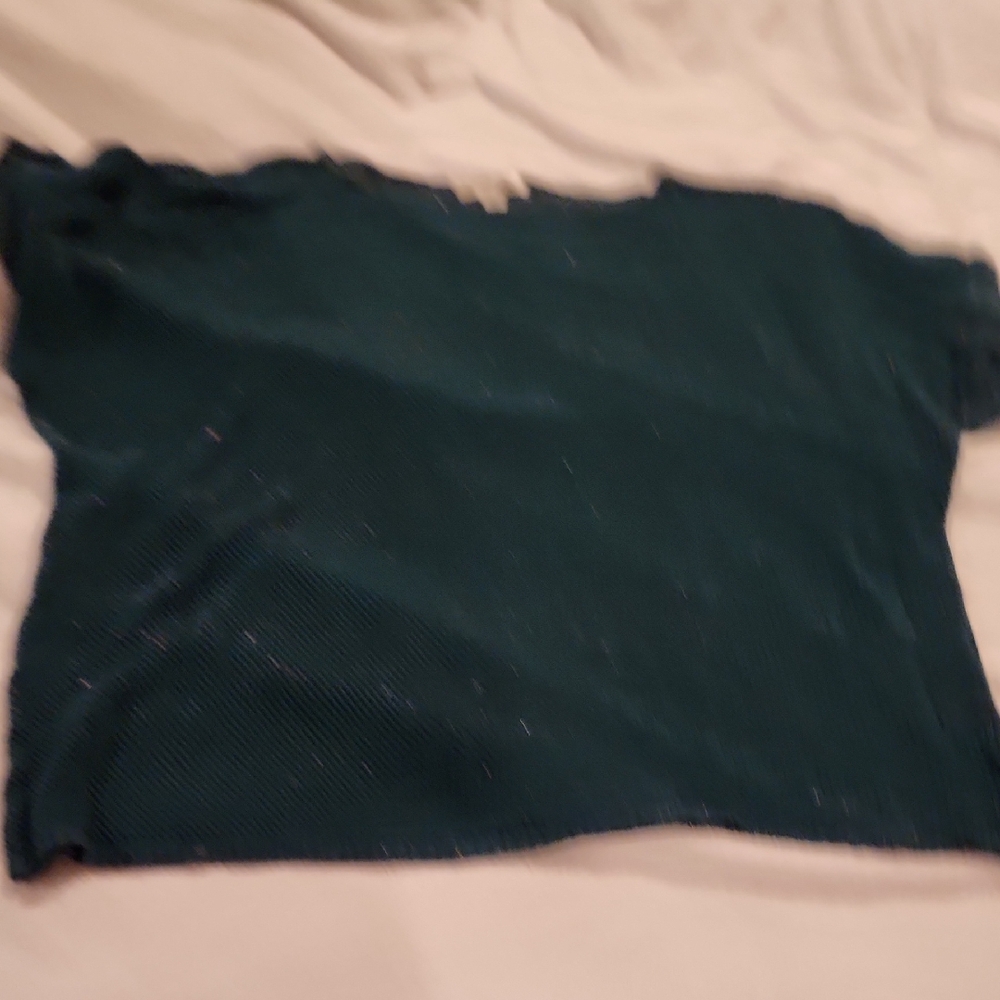 Dressbarn Teal Knit Top